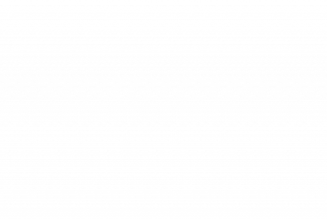 COMMERCIAL & INSTITUTIONNEL